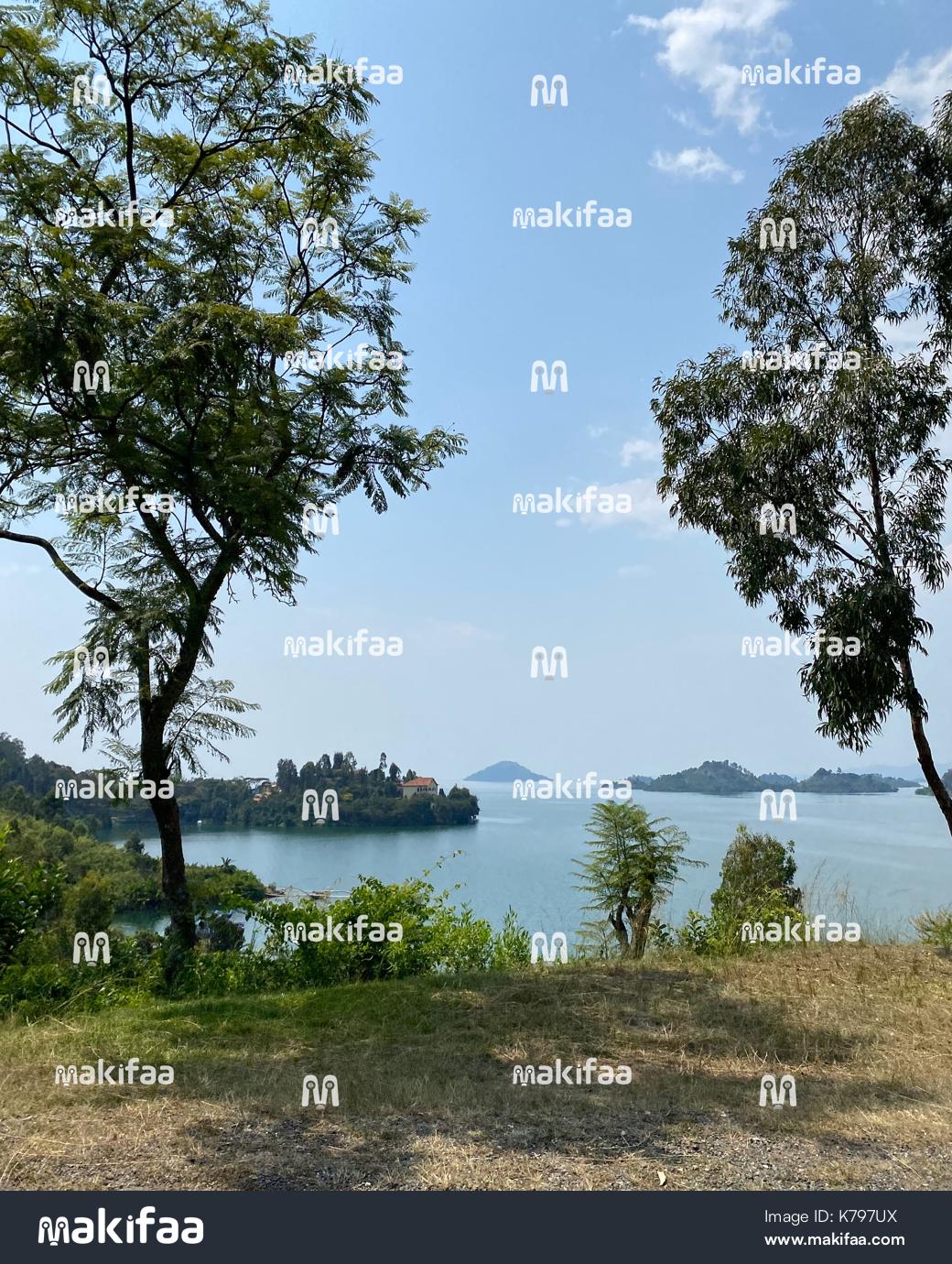 Vue d'un lac  en bordure de végétation