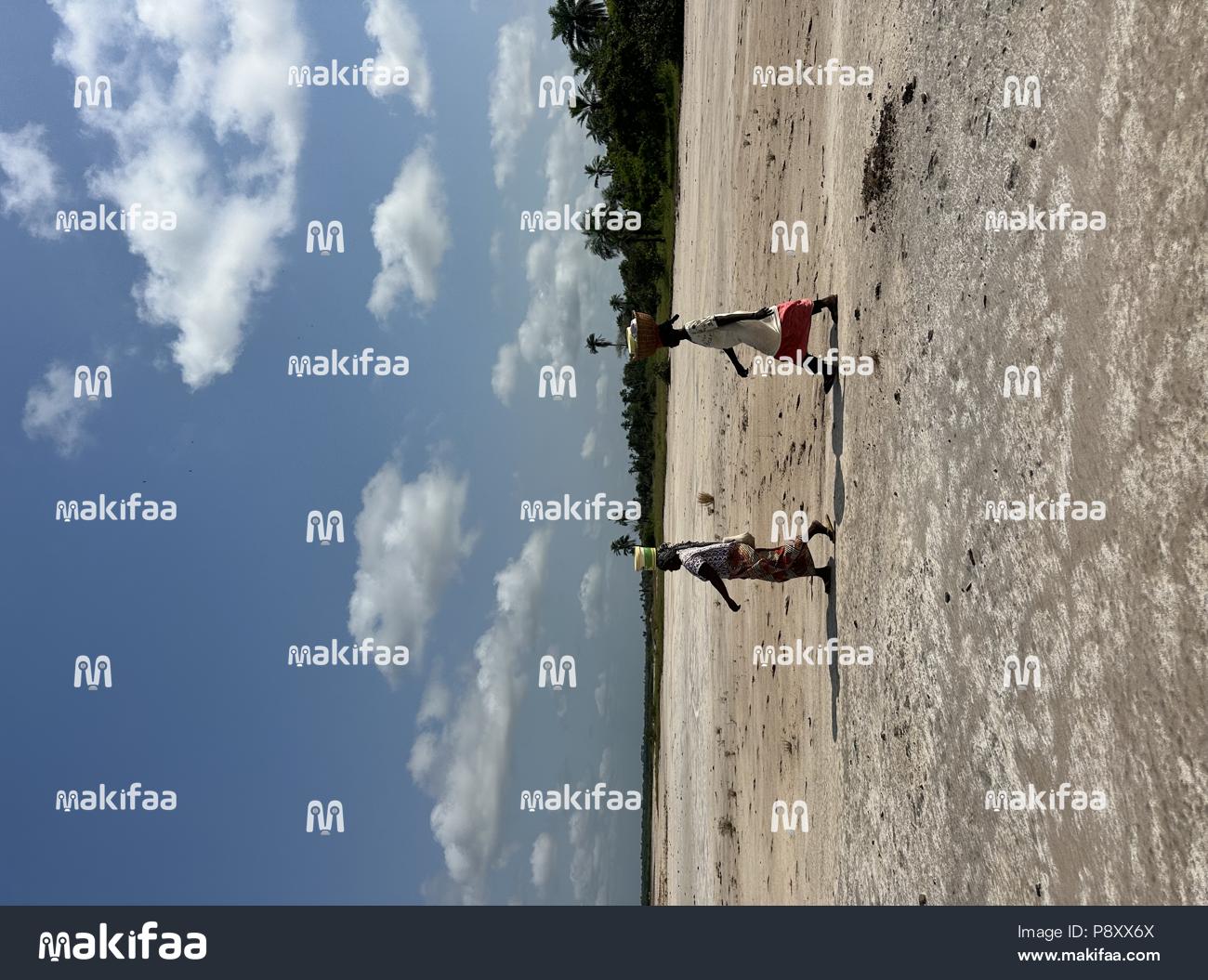 Deux silhouettes marchant dans un paysage aride sous un ciel bleu