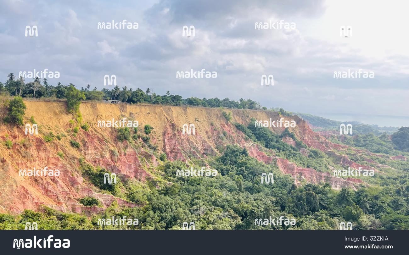 DIOSSO Gorges, Miamba nyekundu na ocher inatofautiana na mimea ya kitropiki 