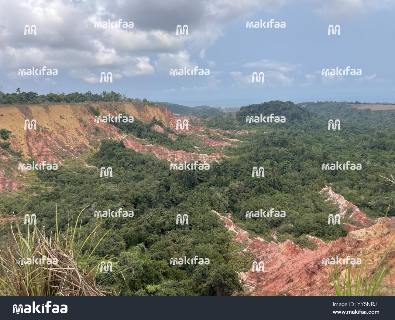 DIOSSO Gorges, Miamba nyekundu na ocher inatofautiana na mimea ya kitropiki 