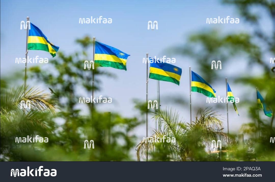 Mpangilio wa bendera za Rwanda zinazopeperushwa katika mazingira ya kitropiki yenye jua