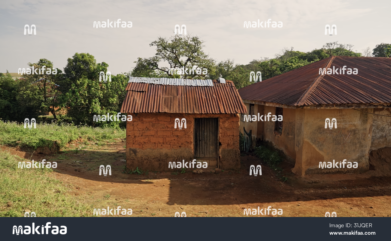 Vista de las cabañas rodeadas de vegetación. 