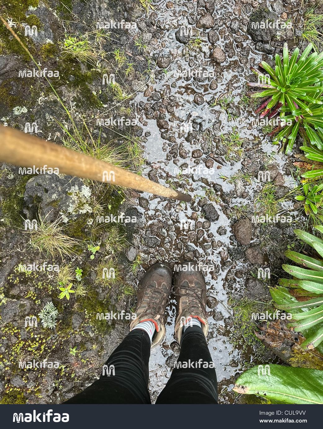 Worn hiking shoes soaked in muddy Rainwater 