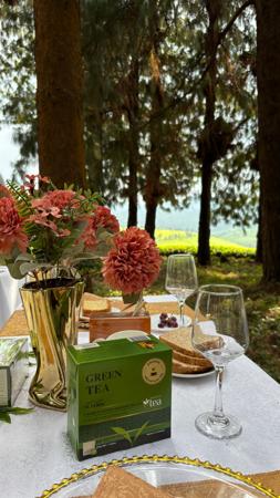 Table dressée dans un jardin avec vue sur le lac