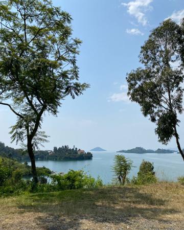 Vue d'un lac  en bordure de végétation