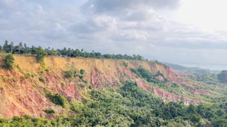 DIOSSO Gorges, Miamba nyekundu na ocher inatofautiana na mimea ya kitropiki 