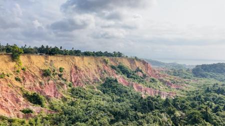DIOSSO Gorges, Miamba nyekundu na ocher inatofautiana na mimea ya kitropiki 