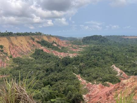 DIOSSO Gorges, Miamba nyekundu na ocher inatofautiana na mimea ya kitropiki 