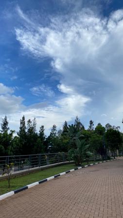 Njia ya lami iliyo na uoto chini ya anga yenye mawingu 