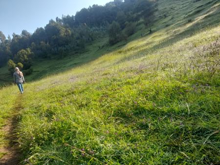 Seen from a green field in broad daylight
