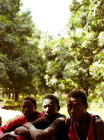 Three young boys in a natural environment