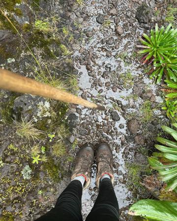 Worn hiking shoes in muddy rainwater